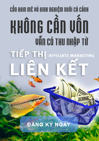 Tham gia chương trình tiếp thị liên kết cùng Yeucacanh.vn