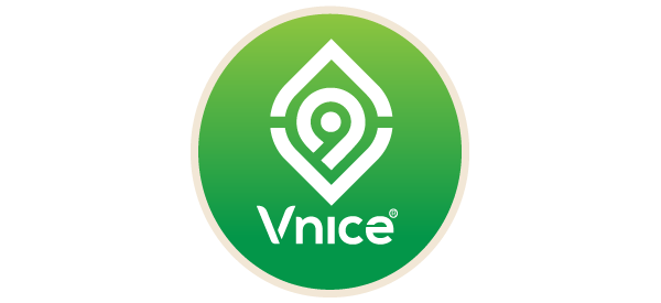 logo VNICE