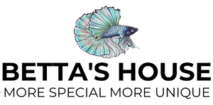 Betta's House - Cửa hàng cá cảnh