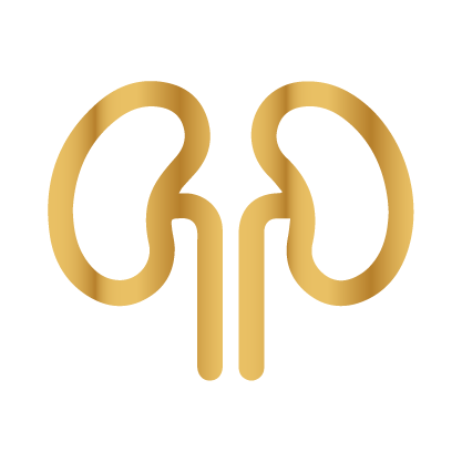 Cải thiện chức năng thận