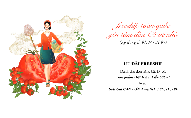 Freeship toàn quốc
