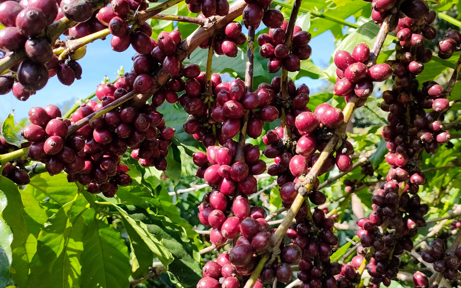 Liên hệ với chúng tôi