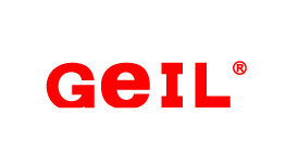 Geil