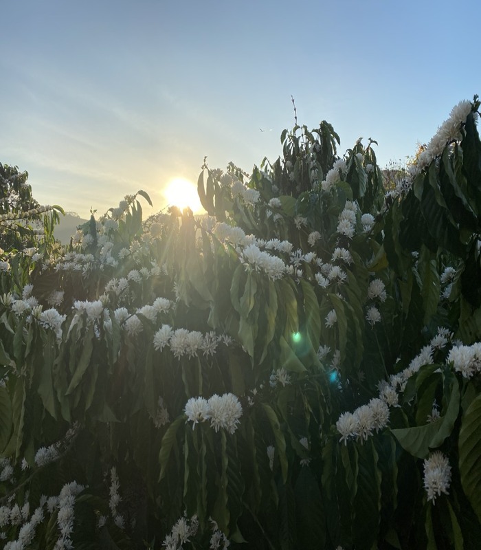 Wish All The Best For You