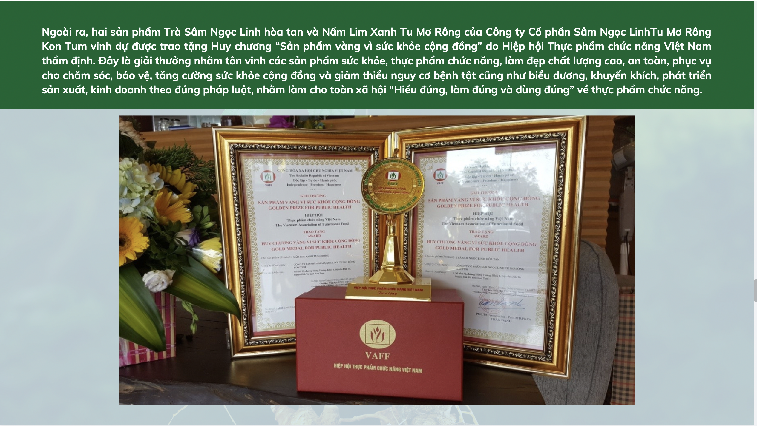 TẦM NHÌN VÀ SỨ MỆNH CỦA CÔNG TY