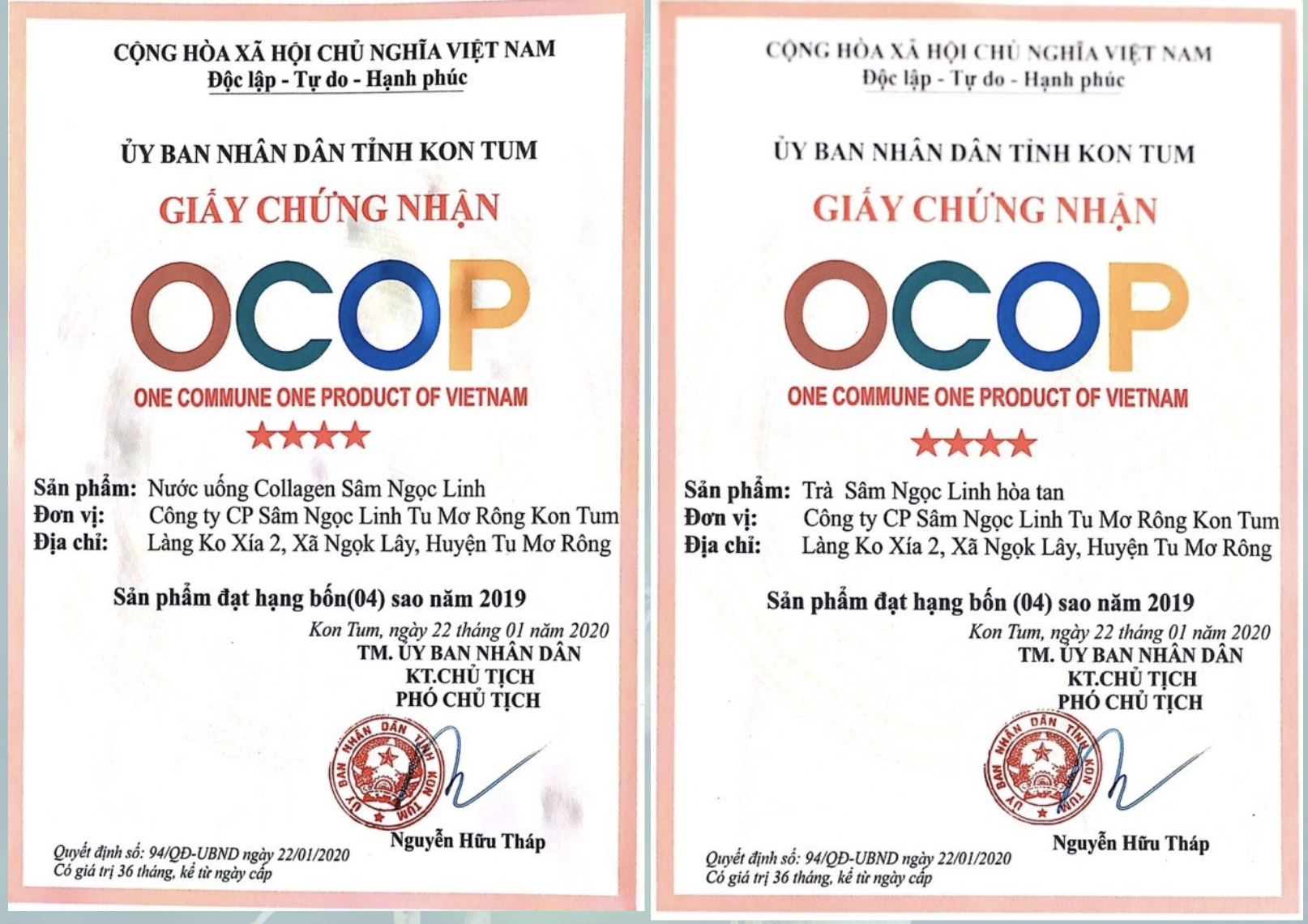 TẦM NHÌN VÀ SỨ MỆNH CỦA CÔNG TY