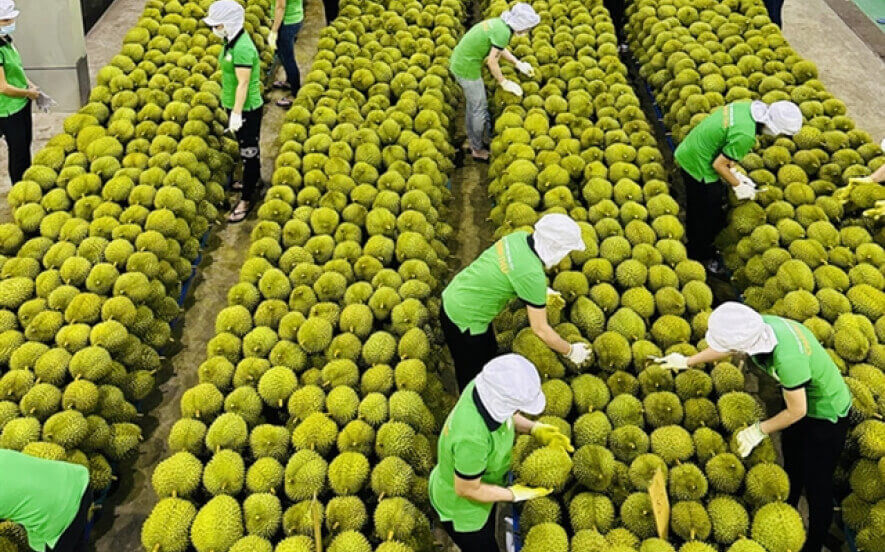 HOA CUONG COMMERCE