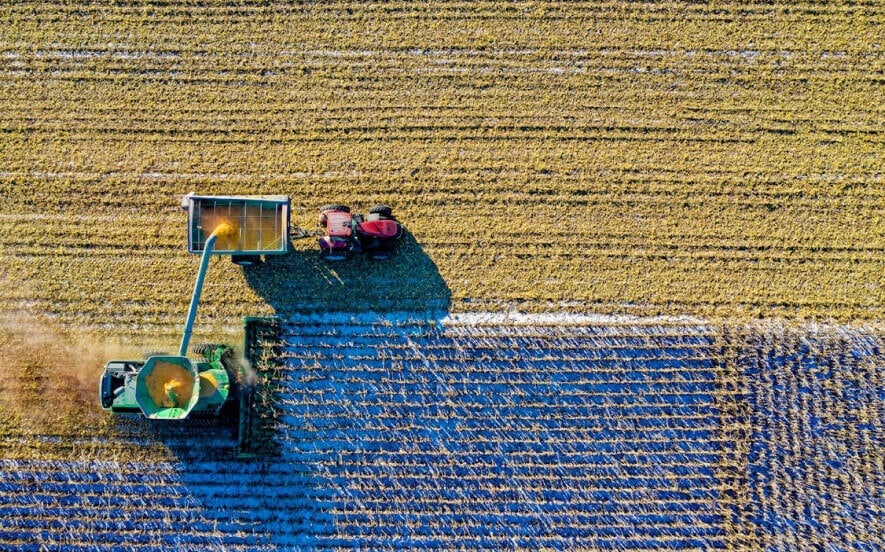 HOA CUONG FARM
