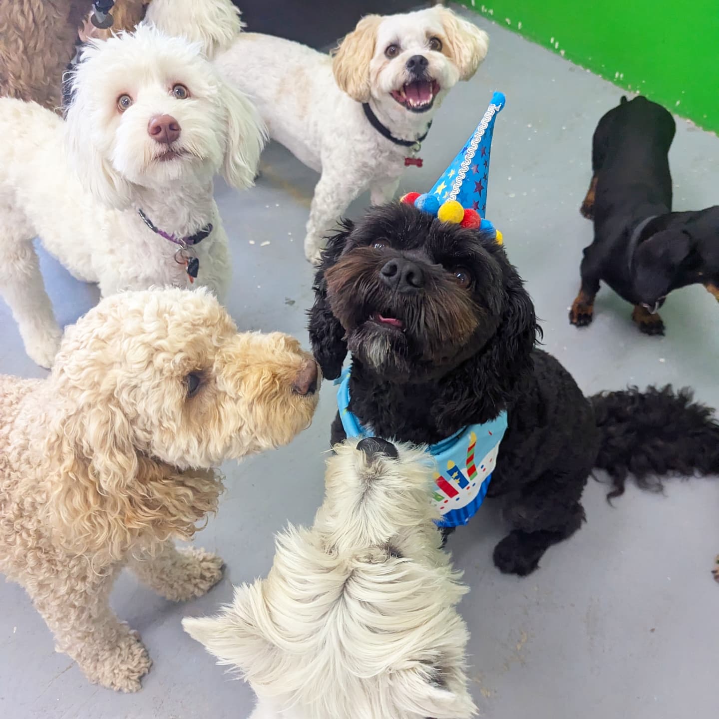 WHY DAYCARE?