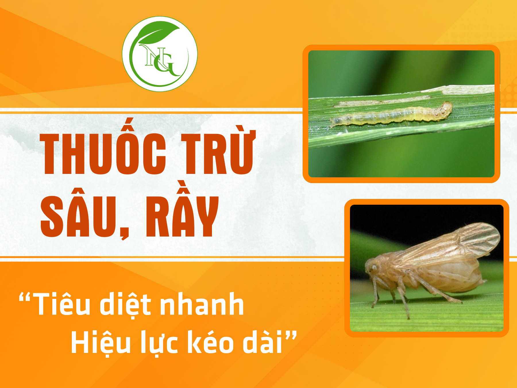 Thuốc trừ sâu - rầy