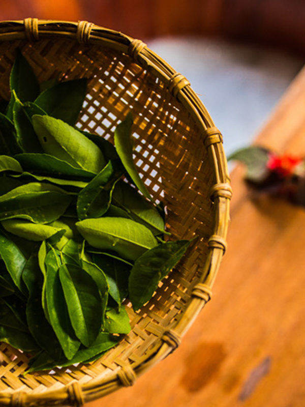 Hương Sen Healthcare-Hương-Sen-sevicess