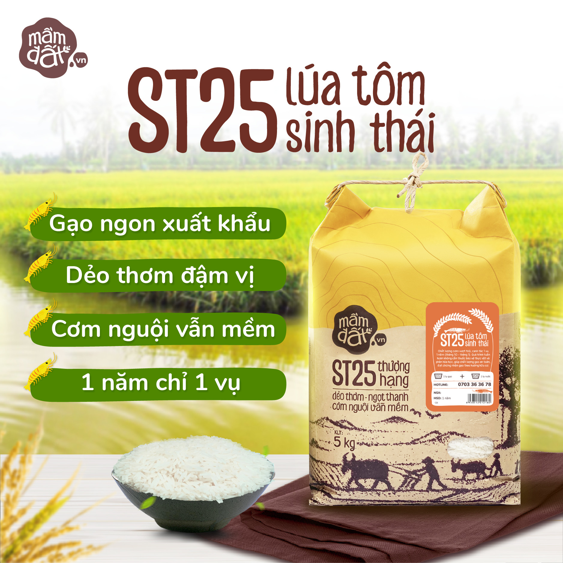 Gạo ST25 Lúa Tôm