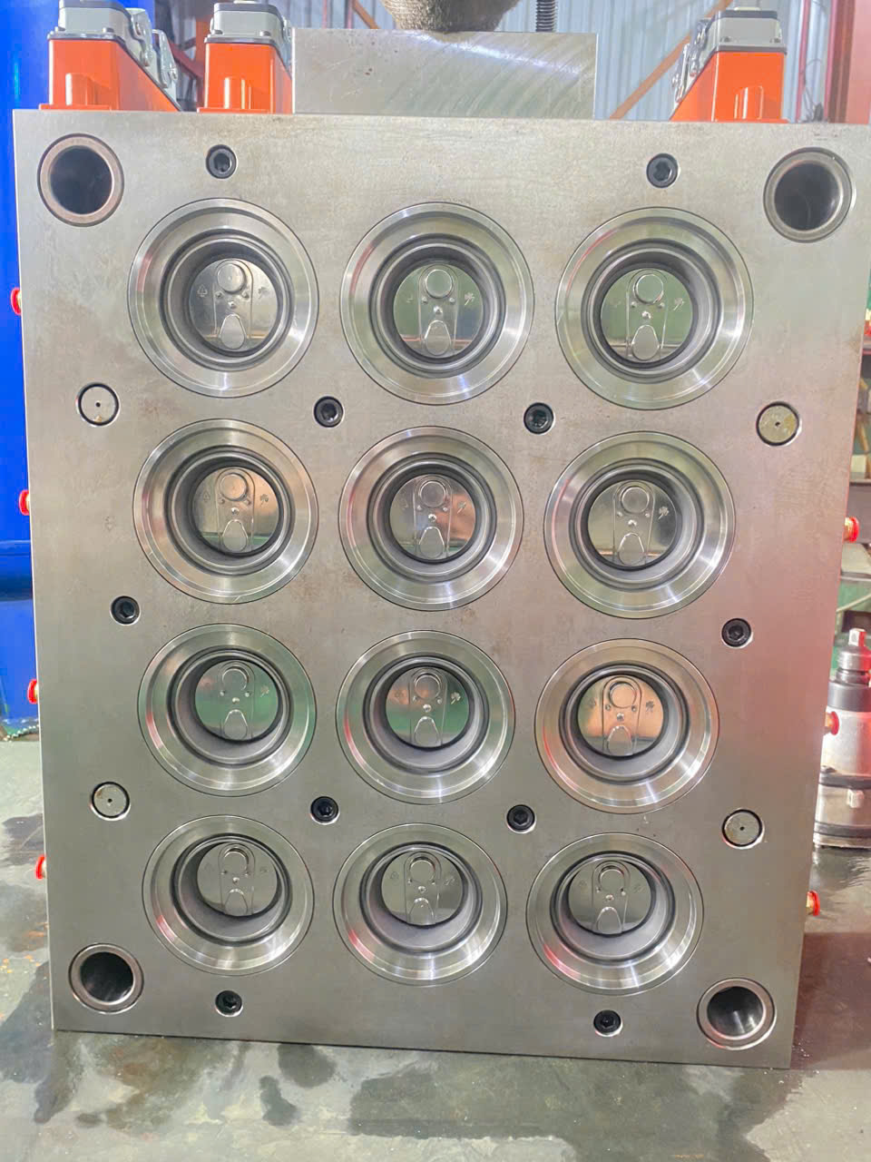 CHÍNH SÁCH HAE MOLD