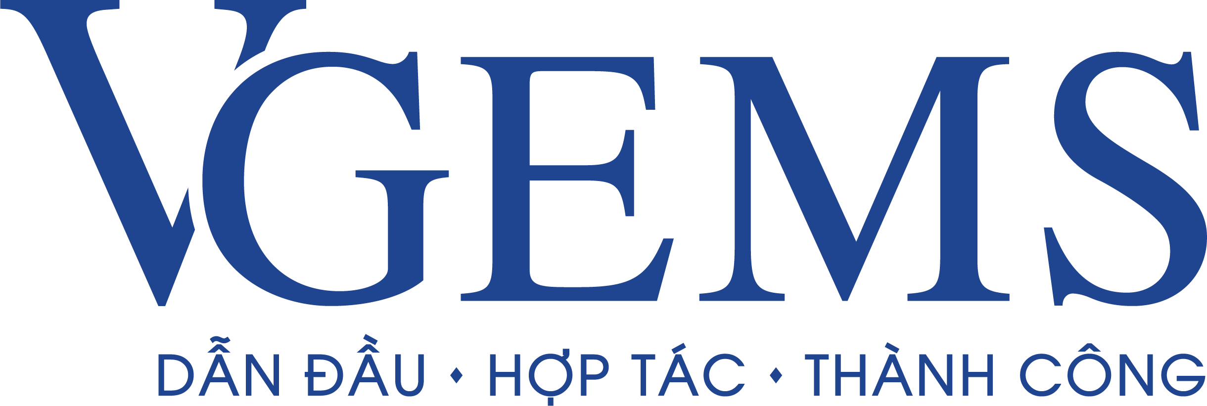 VGEMS GLOBAL JEWELRY