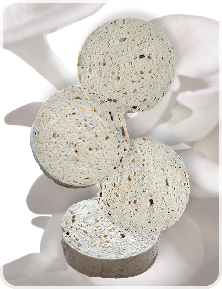 TƯƠI MỚI TỪ TRANG TRẠI ĐẾN BÀN ĂN