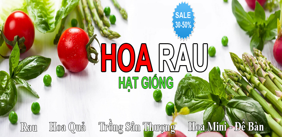 Hạt giống ngoại nhập