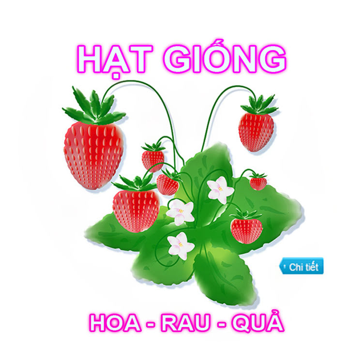 Hạt giống