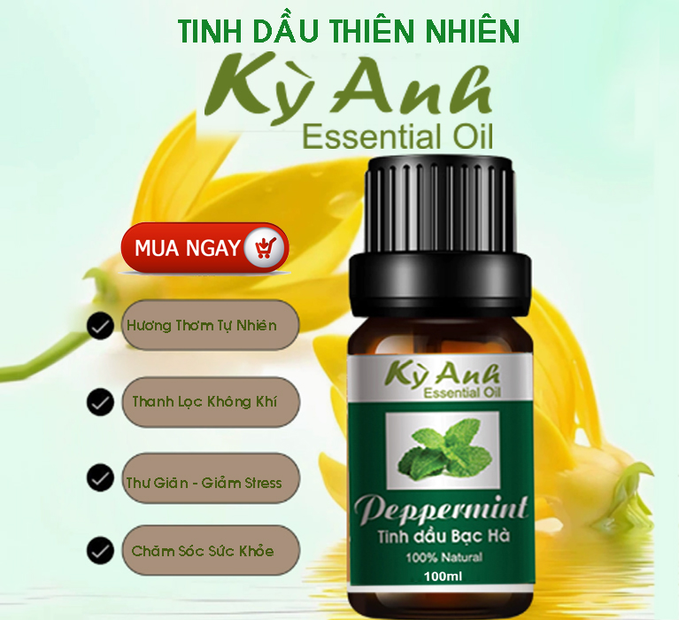 Dụng Cụ Trầm Hương