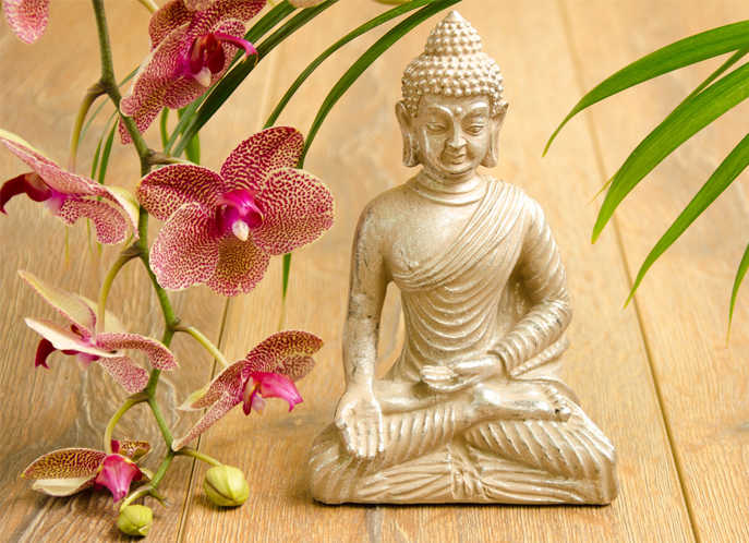 Hoa lan hồ điệp phong thủy