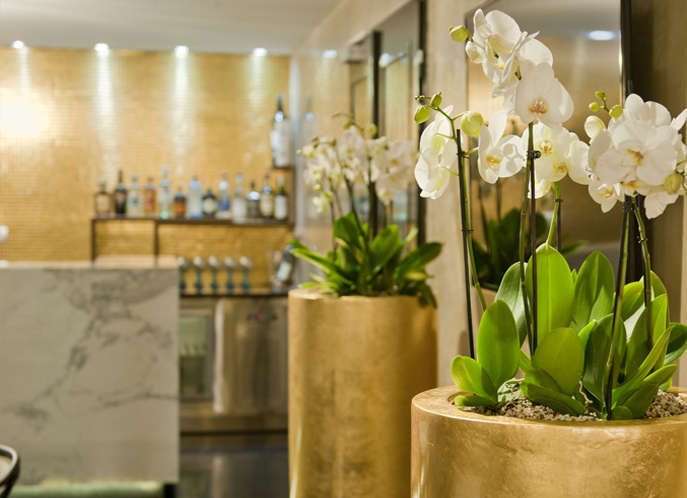 hoa lan hồ điệp Phong Cách Hoàng Gia