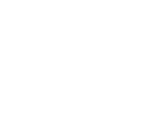 Hoa Khô IRIS