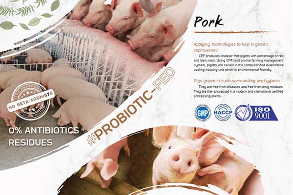 Heo/lợn - Pork