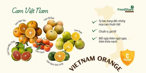 Sản phẩm mới