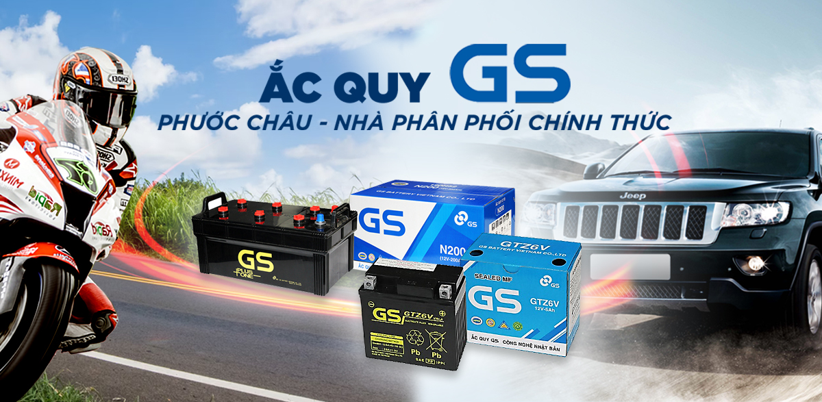 Ắc Quy GS