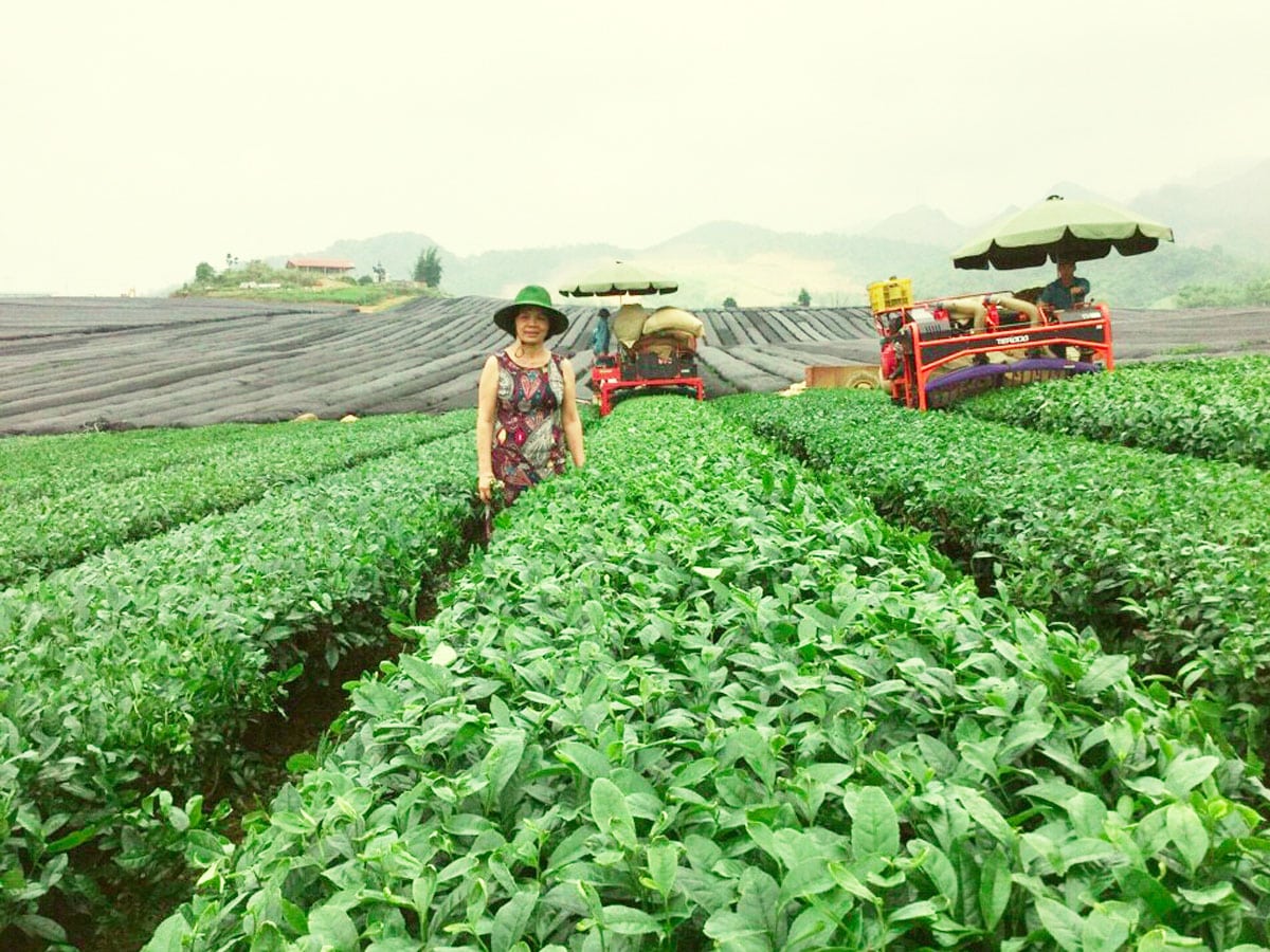 THÔNG ĐIỆP TỪ CHÚNG TÔI