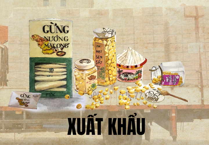 Hợp tác xuất khẩu