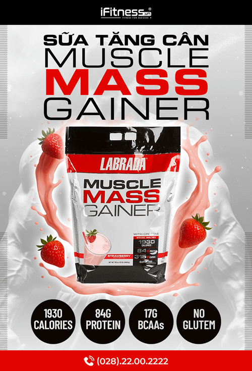 section product tag 2 banner - Tag Template - Center PRO Muscle Mass Gainer 12lbs (5.45kg) - Sữa Tăng Cân Labrada