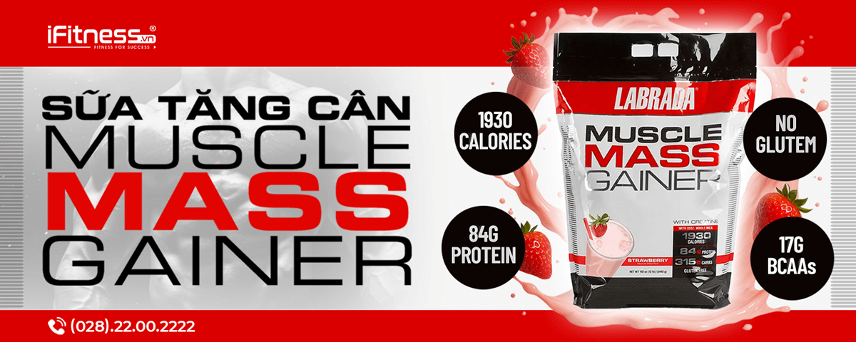section product tag 2 banner mb - Tag Template - Center PRO Muscle Mass Gainer 12lbs (5.45kg) - Sữa Tăng Cân Labrada