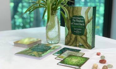 Bộ thẻ bài The Wisdom of Trees Oracle (Sách hướng dẫn và thẻ bài)