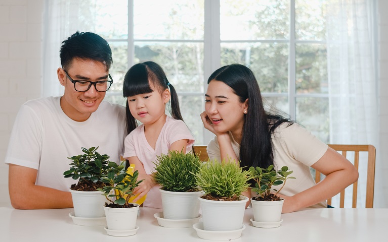 GIA ĐÌNH CÙNG LỐI SỐNG XANH LÀNH