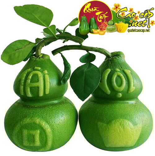 Khuôn tạo hình trái
