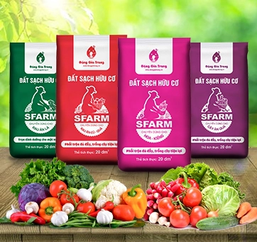 Đất sạch trồng rau