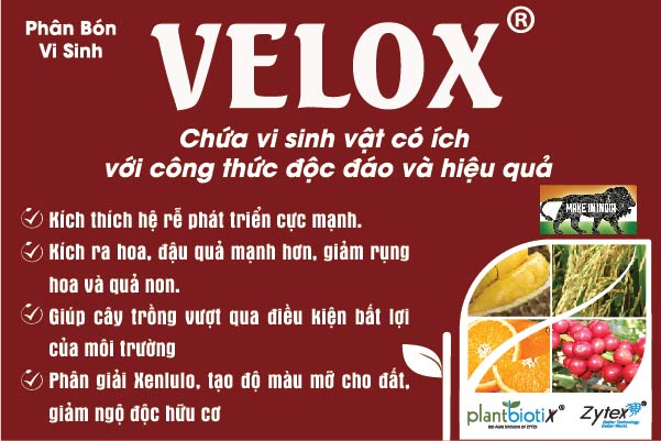 https://thegioinongnghiep.com/products/phan-bon-vi-sinh-velox