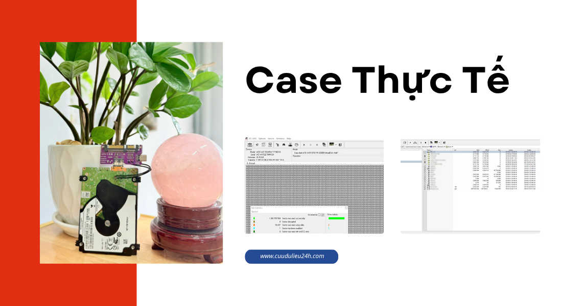 Case thực tế điển hình về mất dữ liệu