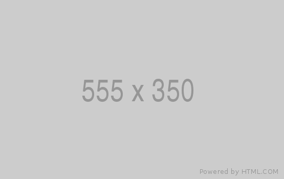 4 lí do khiến hạt óc chó được xem là vua của các loại hạt