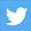 twitter icon