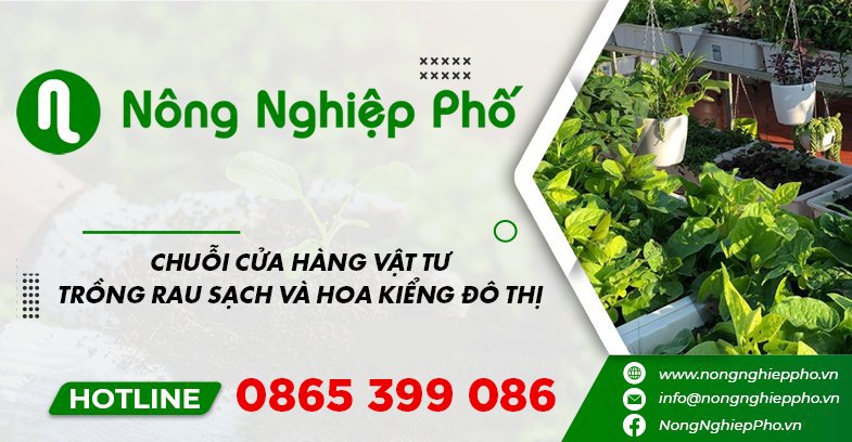 Aquaponics là gì
