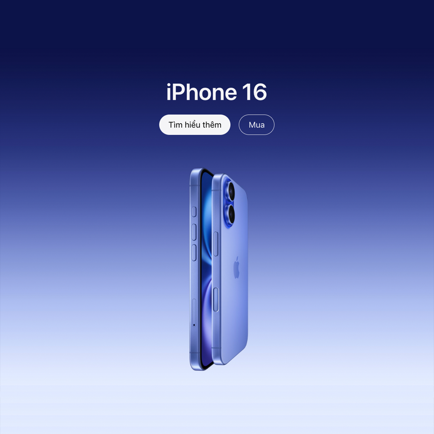 Nhóm sản phẩm 3