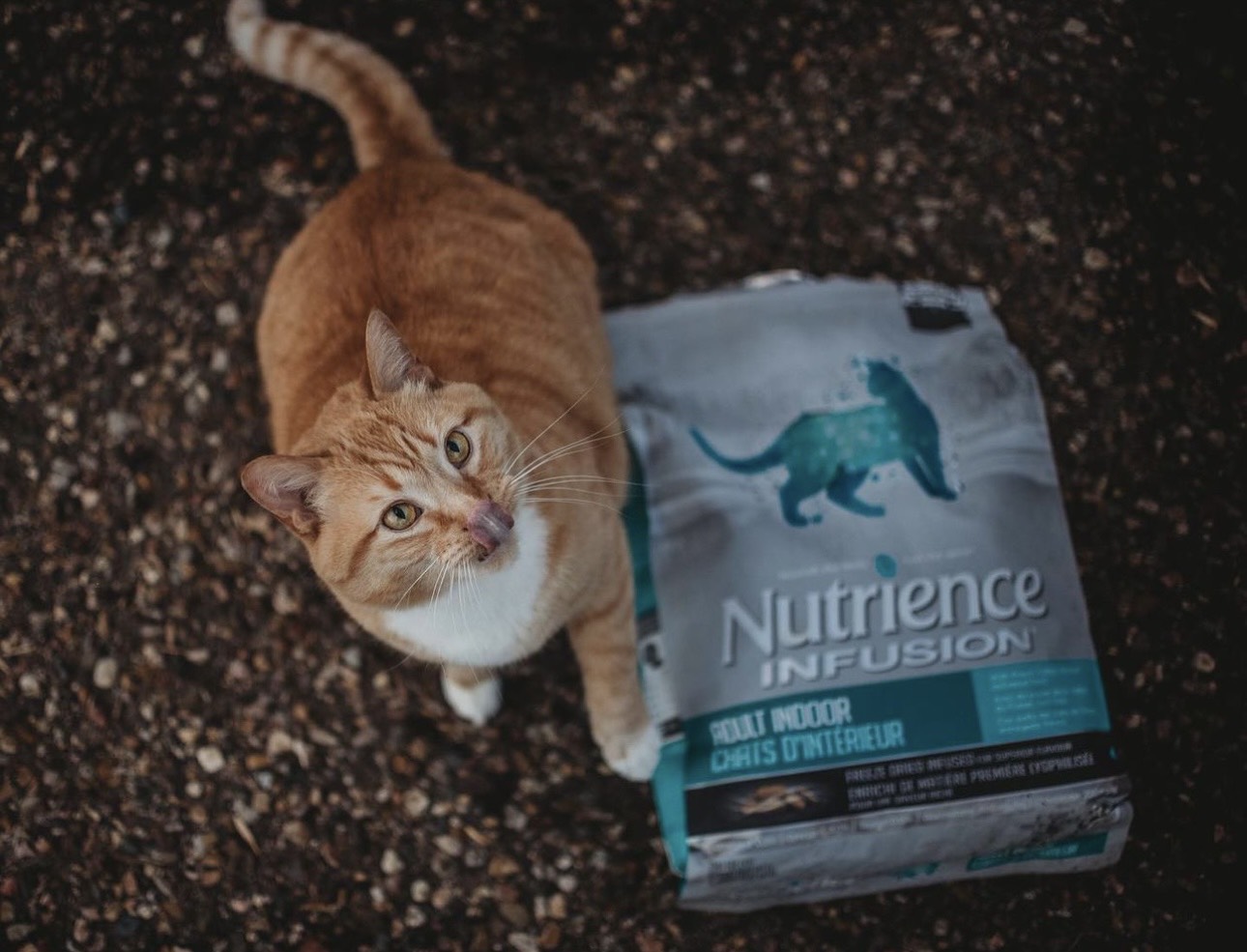 THÔNG ĐIỆP TỪ CHÚNG TÔI