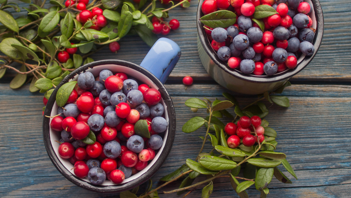 Trái cây, rau củ chống oxy hóa