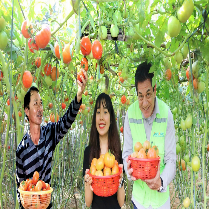 Culture and social activities