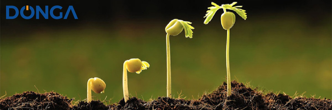 Tạo ra dịch vụ hoàn hảo