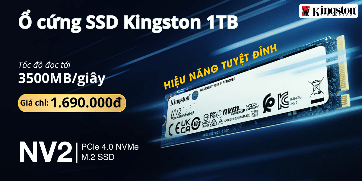 Kingston 1TB SSD