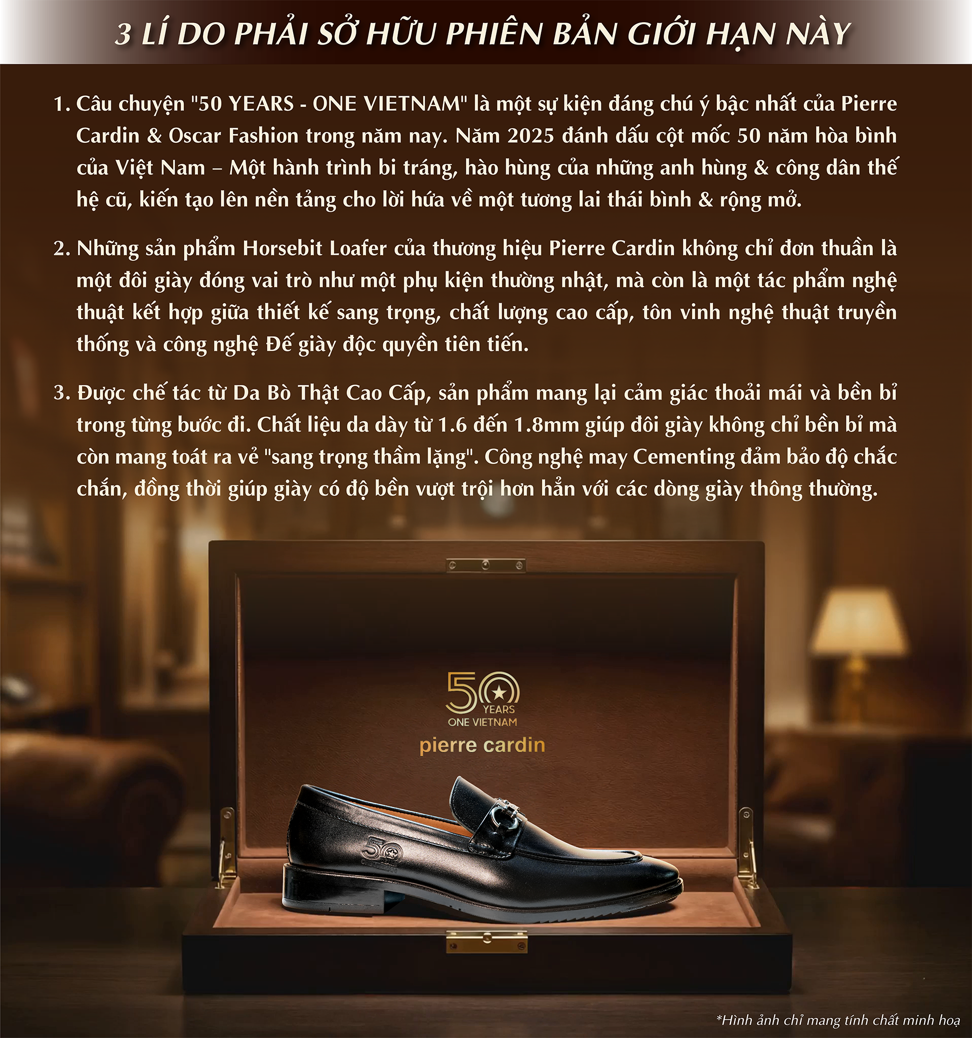 Pierre Cardin Paris Vietnam | TOP 3 LÍ DO PHẢI SỞ HỮU GIÀY HORSEBIT LOAFER (#805)