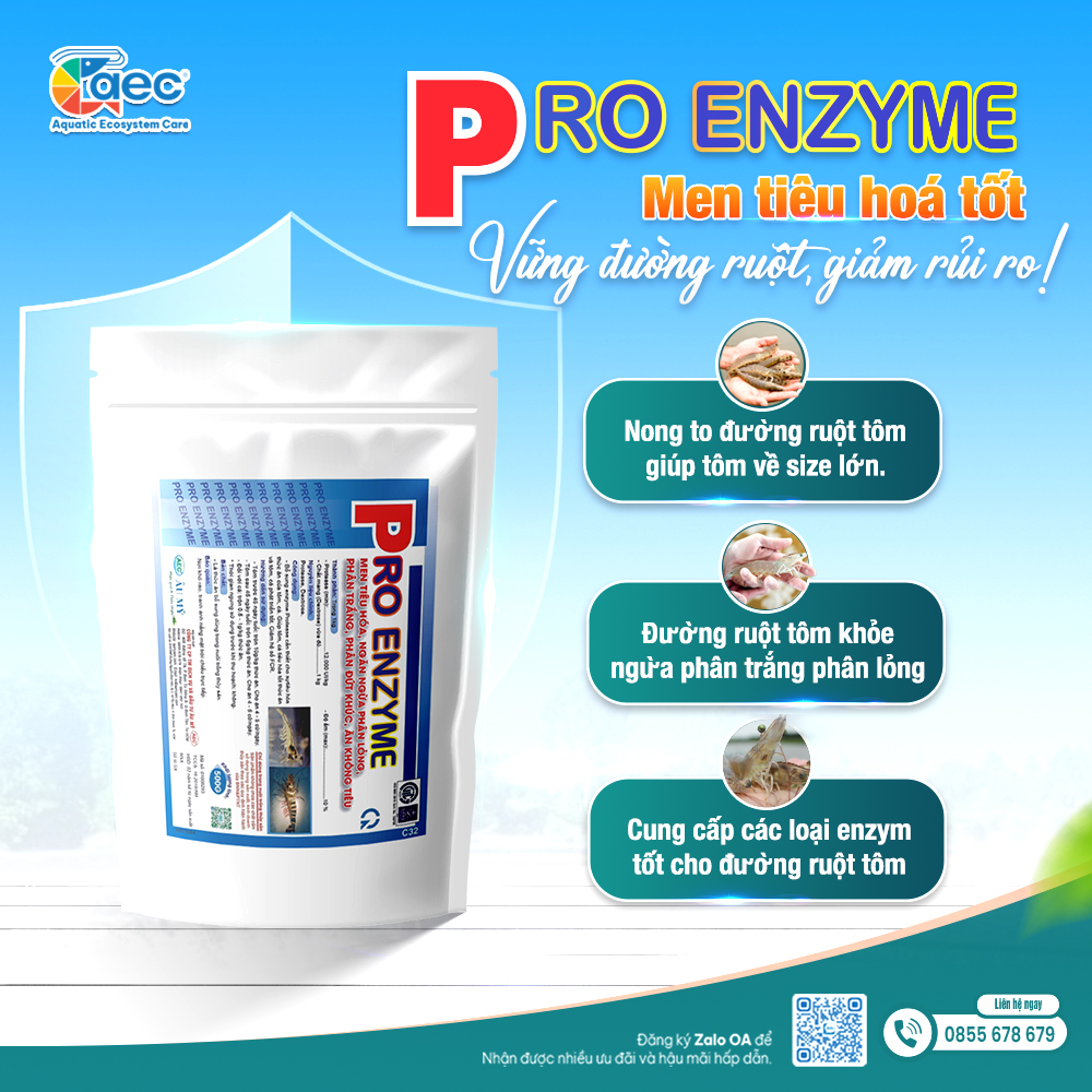 SẢN PHẨM  NUÔI CÁ ẾCH LƯƠN