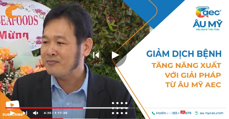 Kinh tế Thủy sản Cà Mau: Giảm dịch bệnh và tăng năng suất nuôi tôm với các giải pháp Âu Mỹ AEC